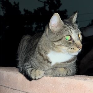 Meet your Posher, Janet